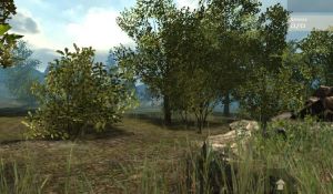 Управление игры Survival in Forest