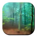 Forest Live Wallpaper 3D