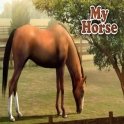 My Horse